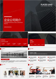 歐美風(fēng)企業(yè)介紹PPT模板 在熊貓辦公一鍵獲取專業(yè)應(yīng)用軟件服務(wù)公司簡(jiǎn)介方案